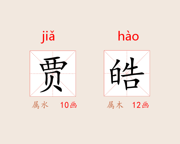 贾皓