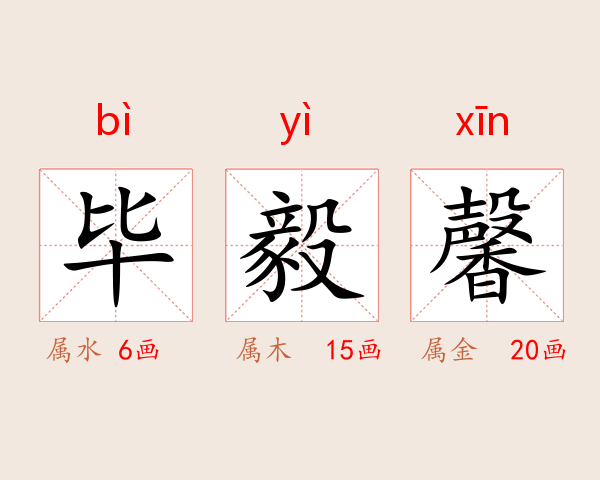 毕毅馨