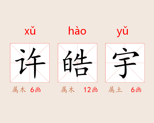 许皓宇