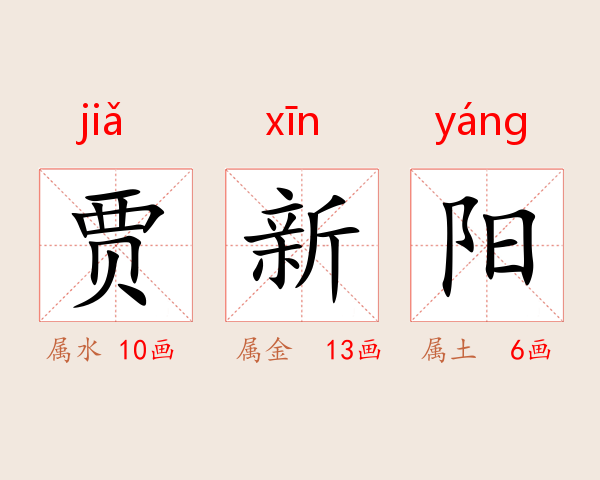 贾新阳