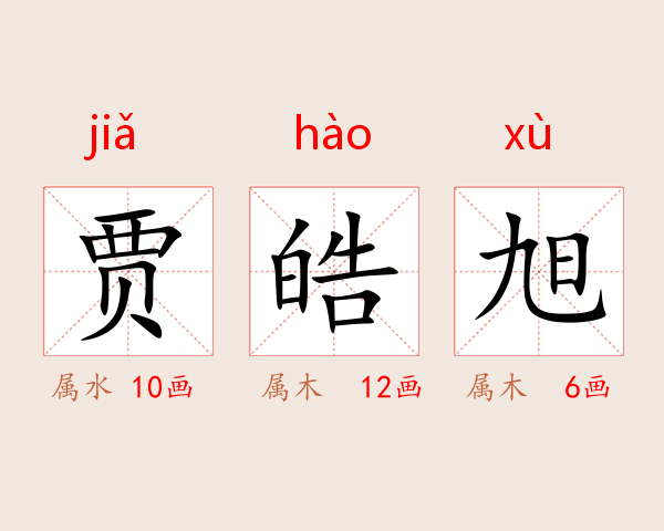 贾皓旭