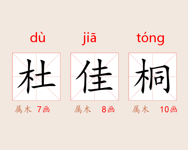 杜佳桐