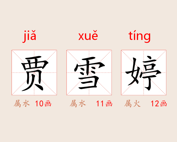 贾雪婷