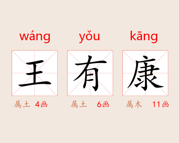 王有康