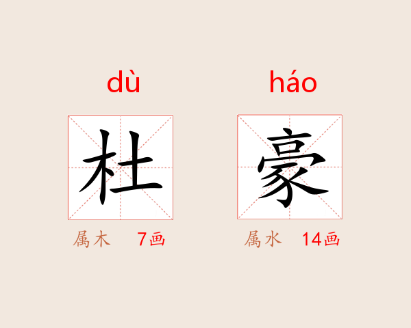 杜豪