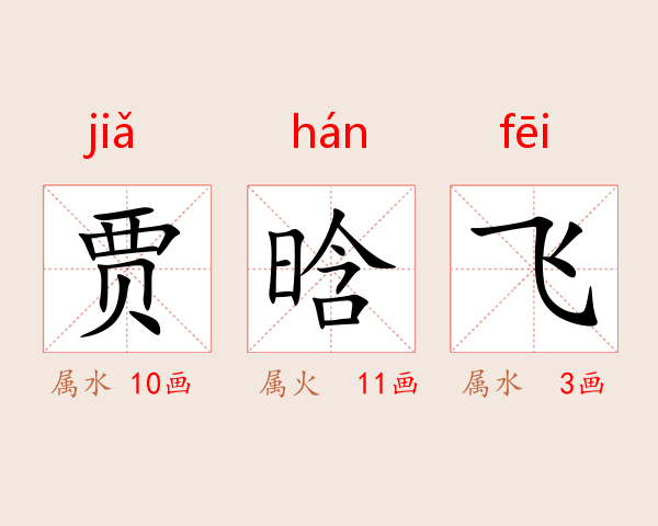 贾晗飞