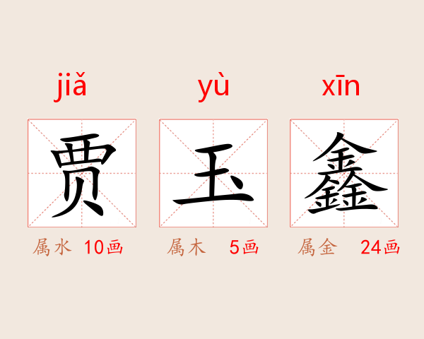 贾玉鑫