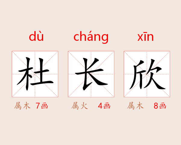 杜长欣