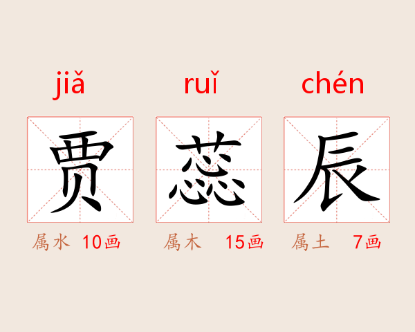 贾蕊辰