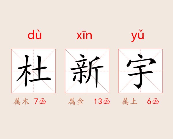 杜新宇