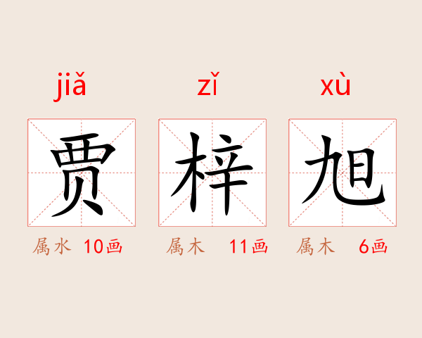 贾梓旭