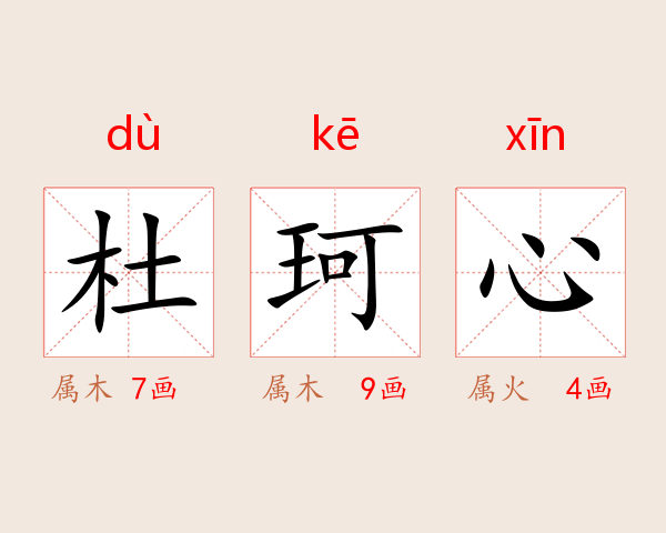 杜珂心