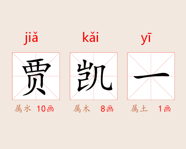 贾凯一