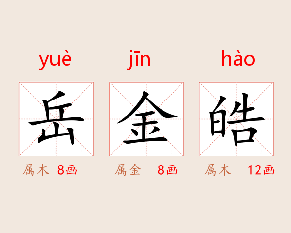岳金皓