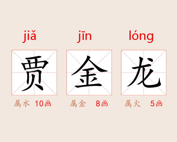 贾金龙