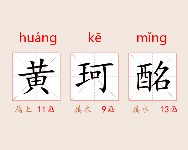 黄珂酩