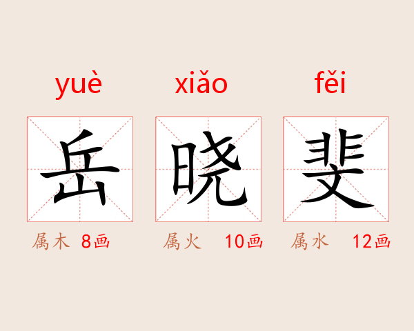 岳晓斐