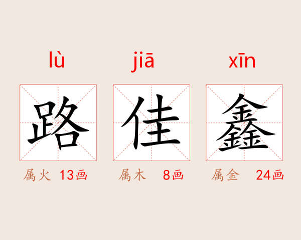 路佳鑫
