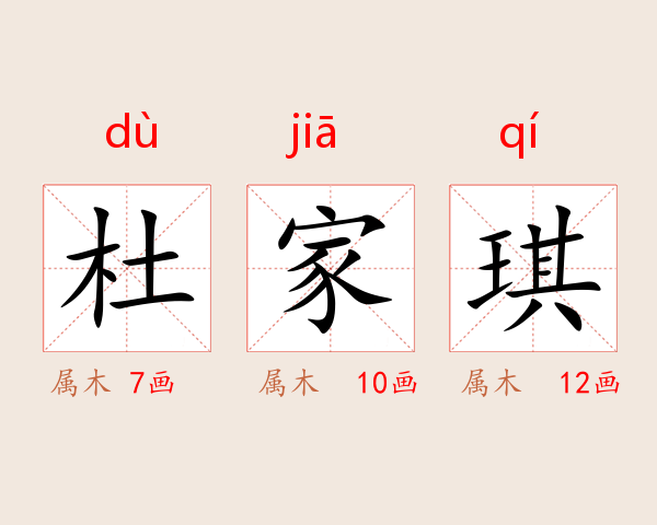 杜家琪