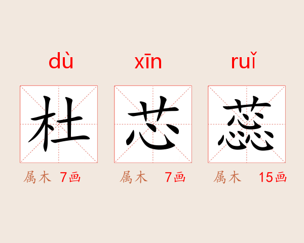 杜芯蕊