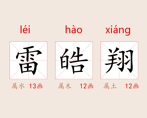 雷皓翔