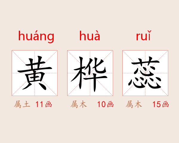 黄桦蕊