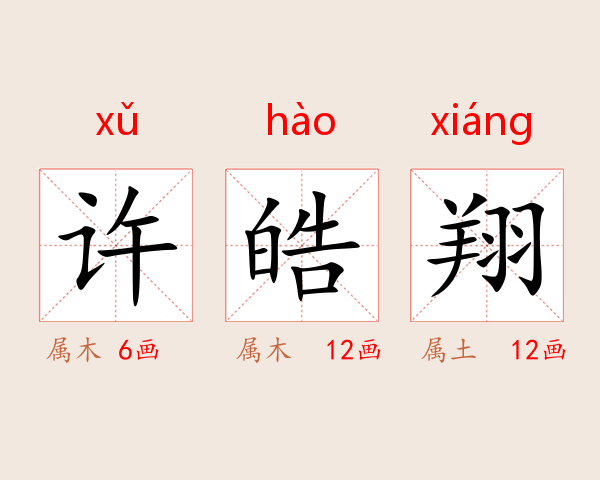 许皓翔
