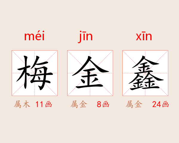 梅金鑫