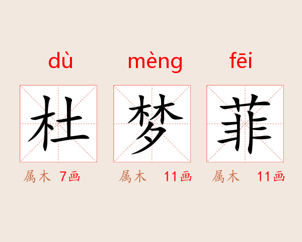 杜梦菲