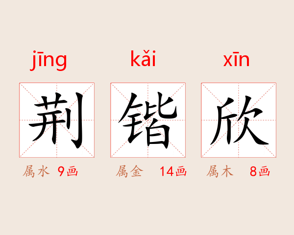 荆锴欣