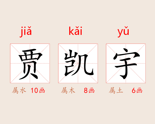 贾凯宇