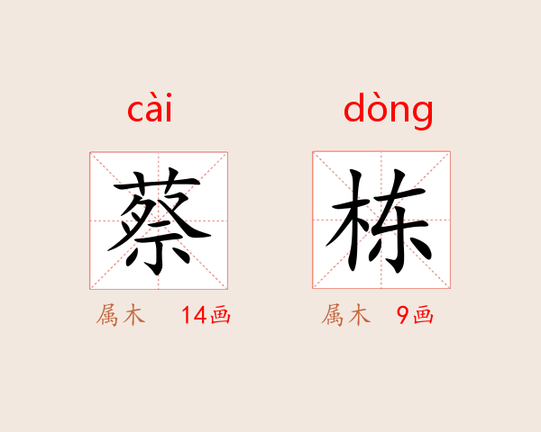 蔡栋