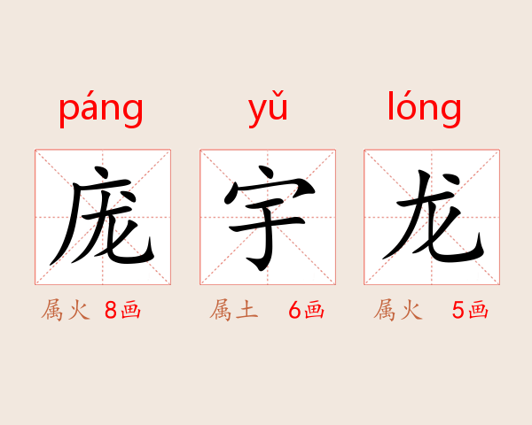 庞宇龙