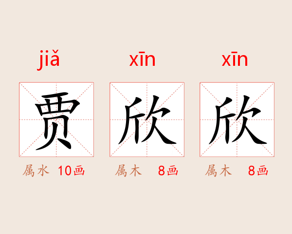 贾欣欣