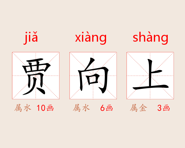 贾向上