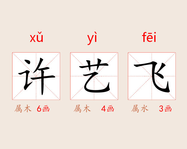 许艺飞