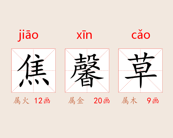 焦馨草
