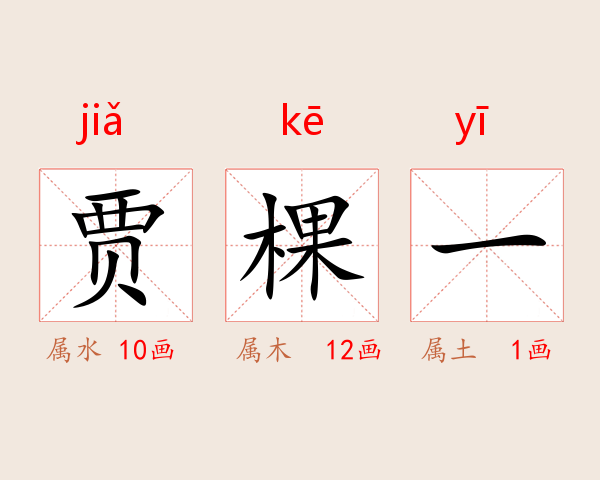 贾棵一