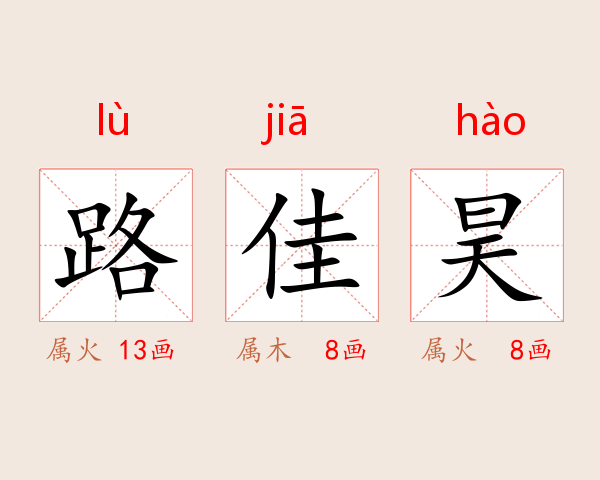 路佳昊