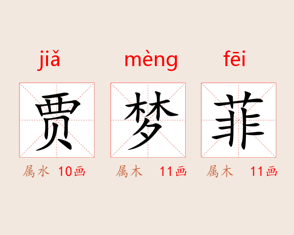 贾梦菲