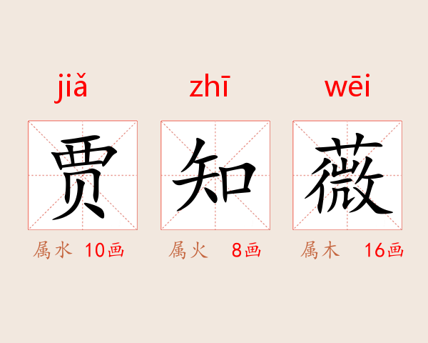 贾知薇