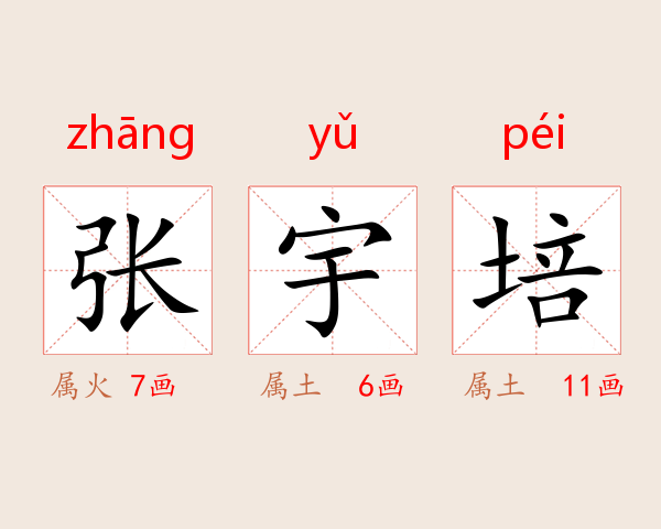 张宇培