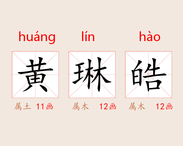黄琳皓