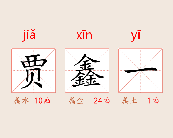 贾鑫一