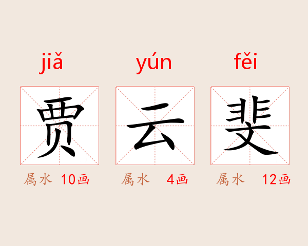 贾云斐