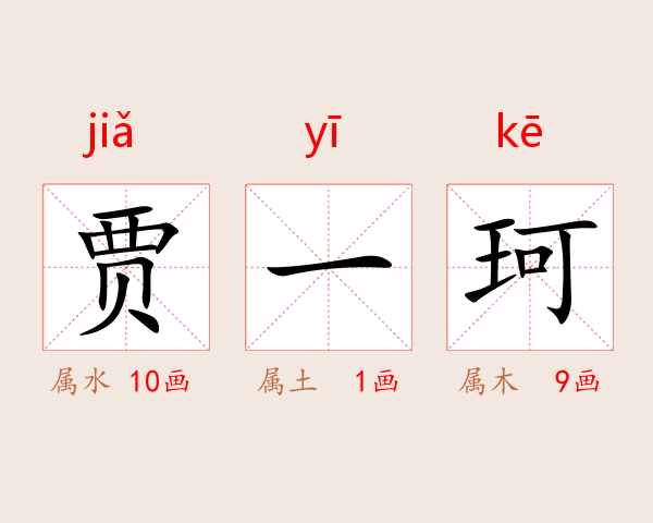 贾一珂