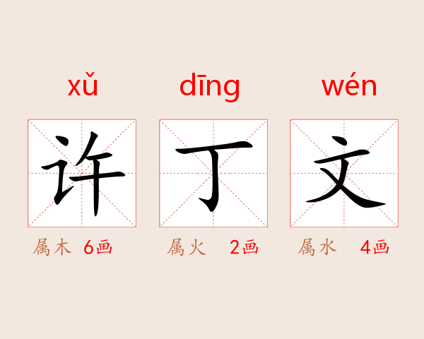 许丁文