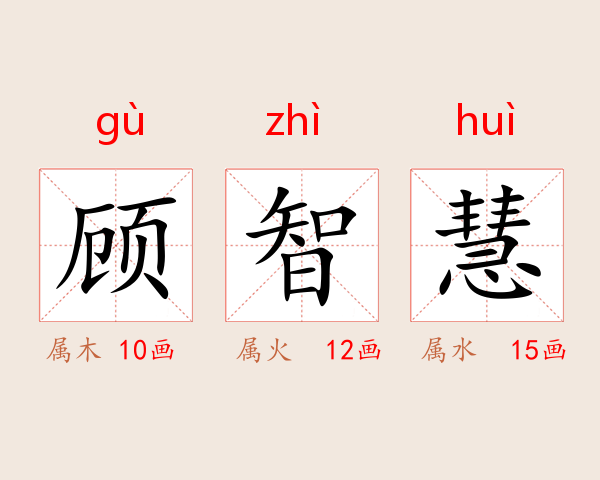 顾智慧