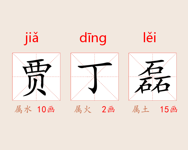 贾丁磊