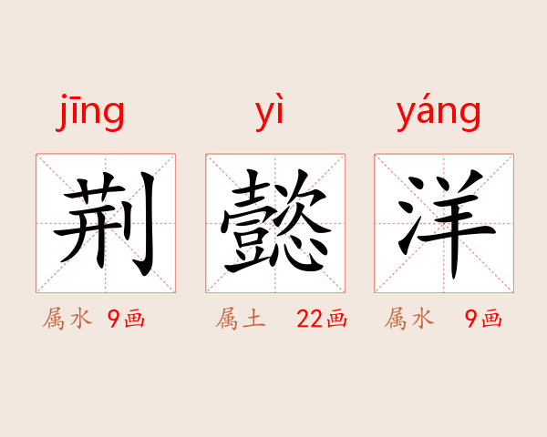 荆懿洋